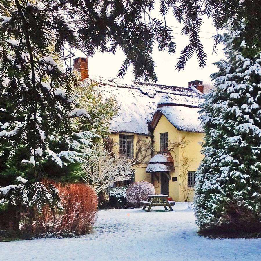 Beck Cottage, Wood Green, New Forest Uk Breamore Exteriér fotografie